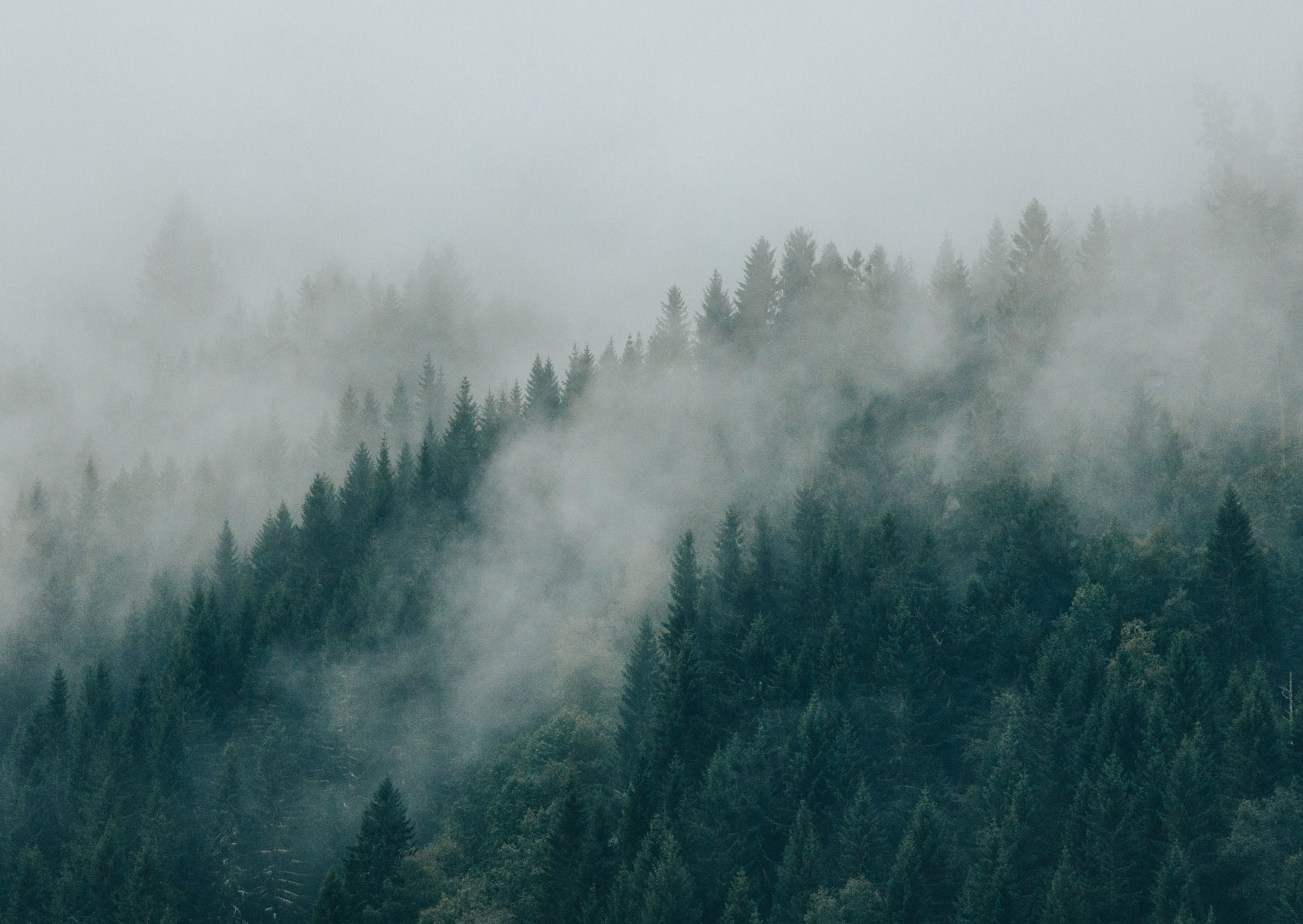 Featured landscape print